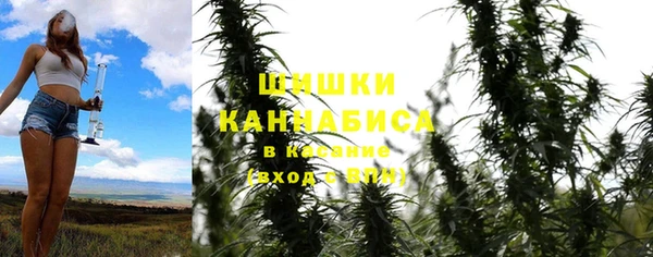 тгк Арсеньев